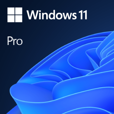 Windows 11 Pro 64 bits dematerialisé